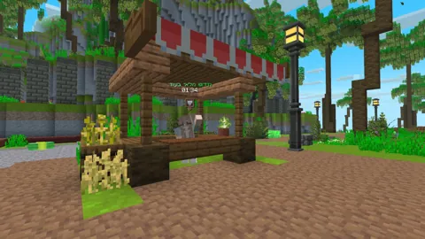 TopStrix Minecraft server gallery — 10